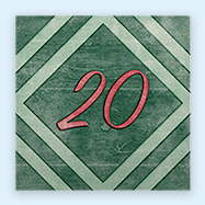 Day 20
