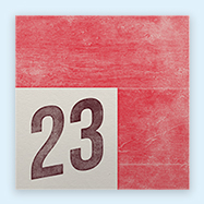 Day 23
