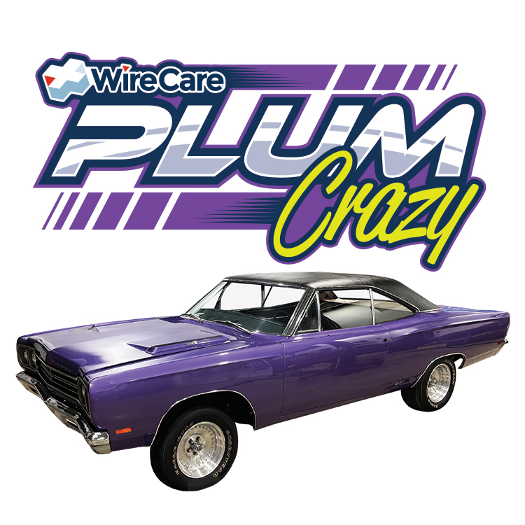 As Seen On "Plum Crazy" department