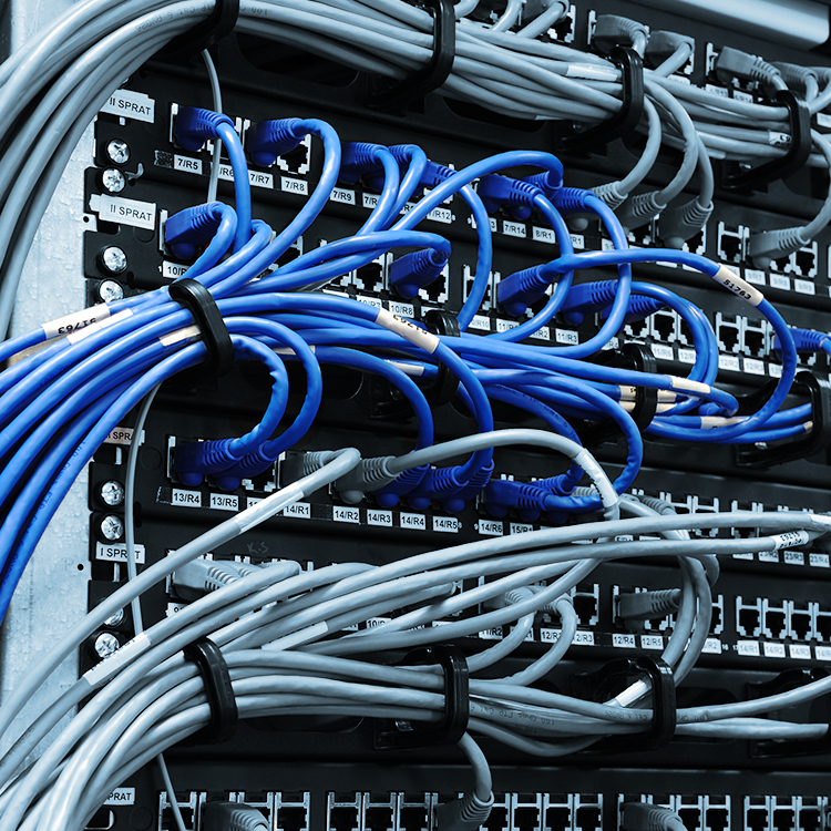 Labeling Solutions department