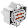 DT04-12PA-LE05_Back