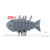 C-FISH-GY