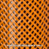 ptn0.25or