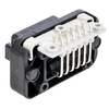 dt13-12pb-g003_back